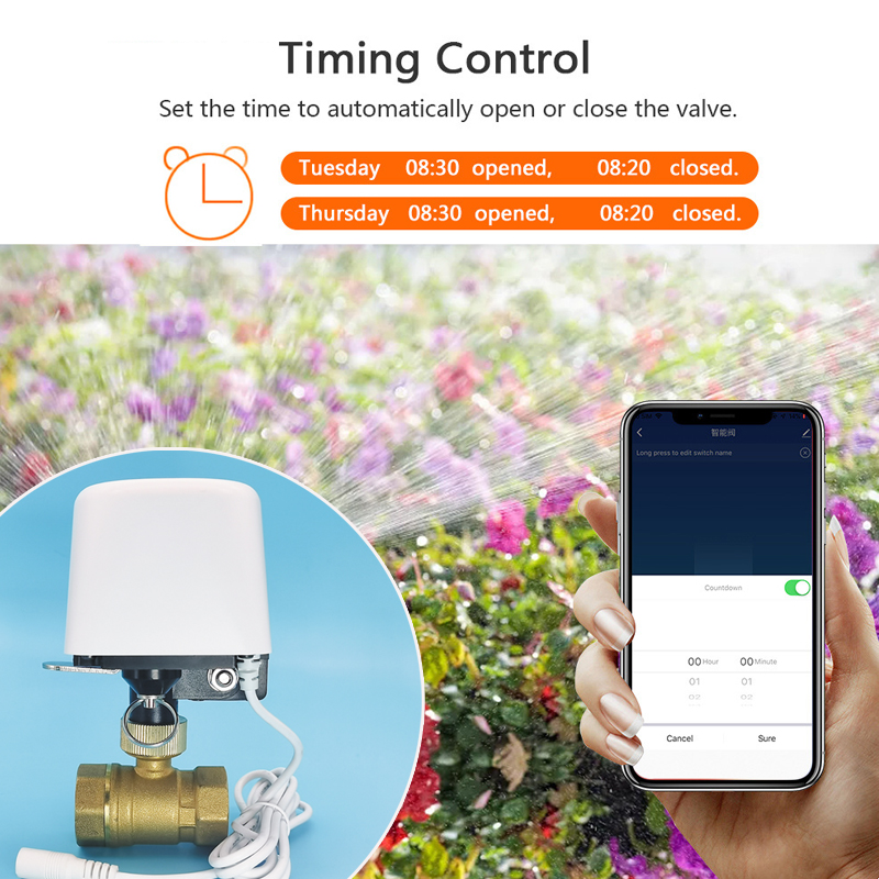 Valvola dell'Acqua WiFi Tuya Z - Smart Garden Valve recensione e prezzo