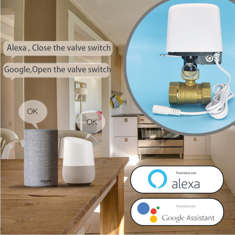 Valvola dell'Acqua WiFi Tuya Z - Smart Garden Valve recensione e prezzo
