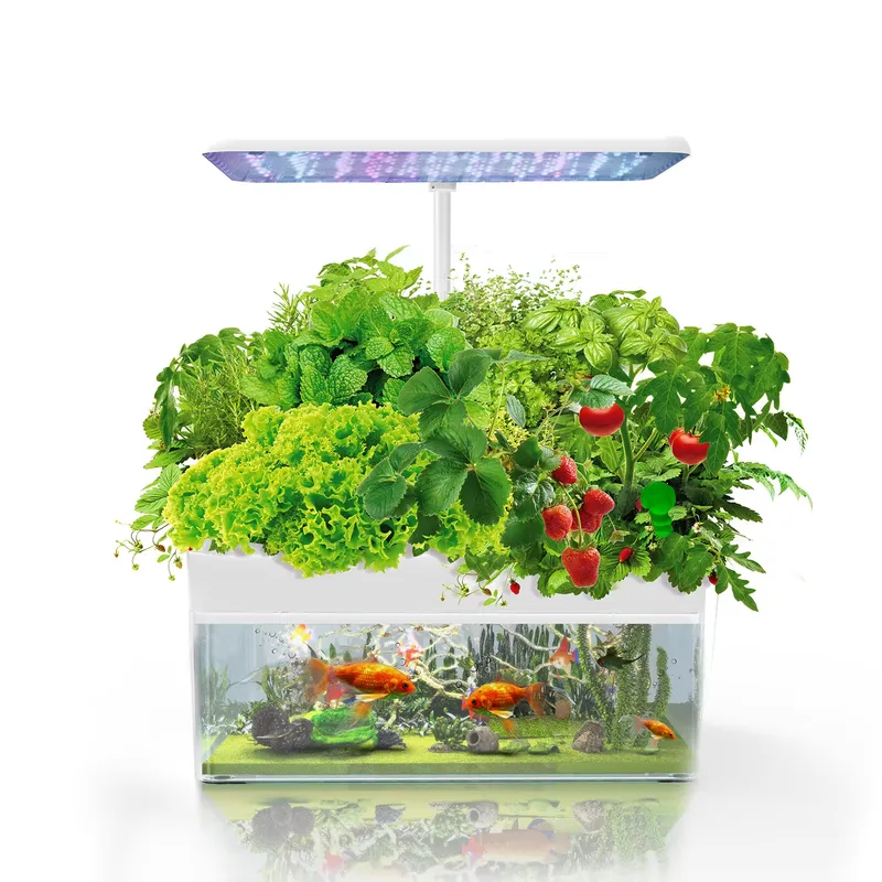 Sistema IGS-70 per Coltivazion - Smart Gardening recensione e prezzo