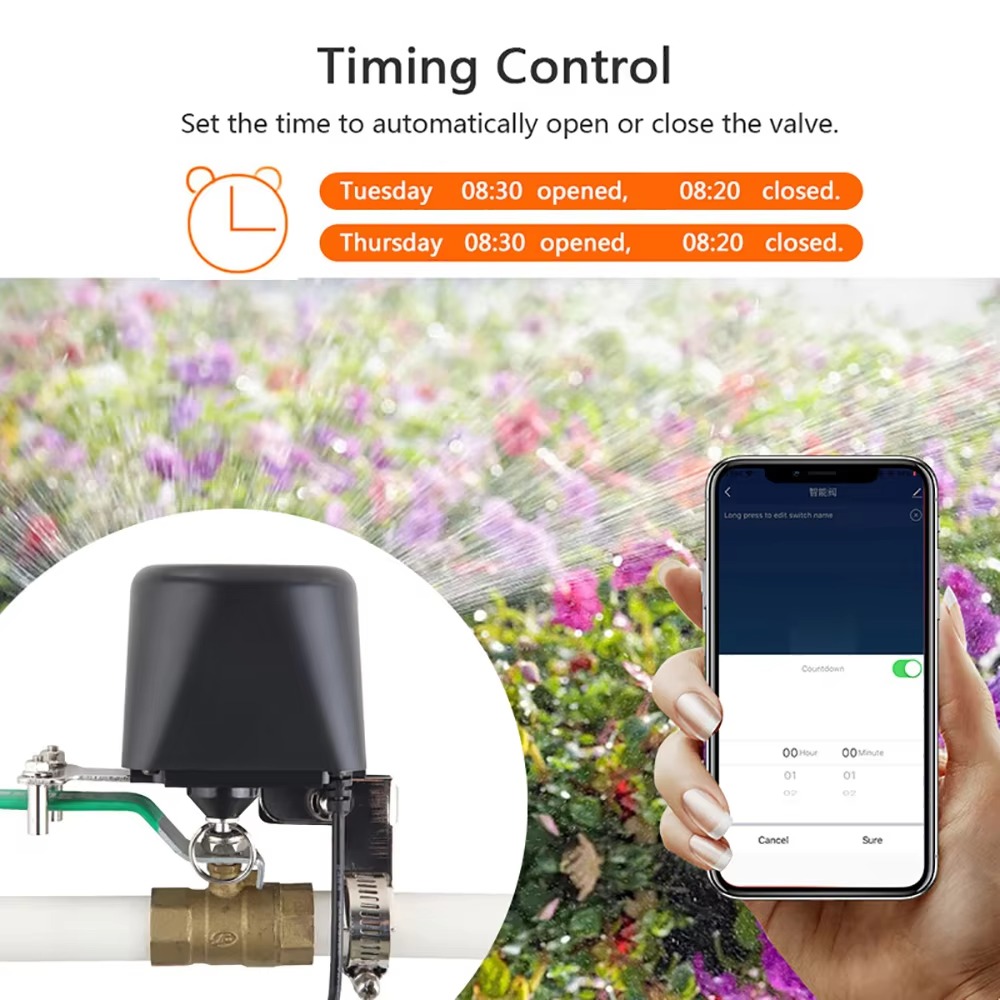 Tuya Zigbee o Wifi Valvola del - Smart Garden Valve recensione e prezzo