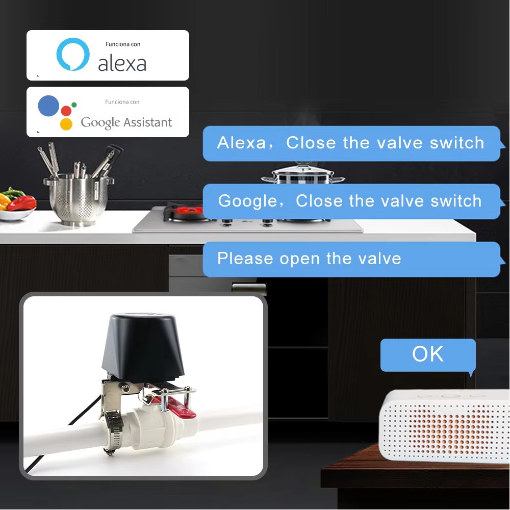Tuya Zigbee o Wifi Valvola del - Smart Garden Valve recensione e prezzo
