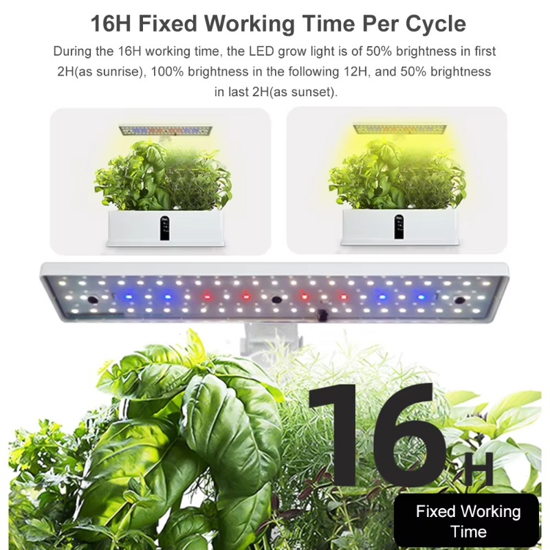 Sistema di Coltivazione Idropo - Smart Gardening recensione e prezzo