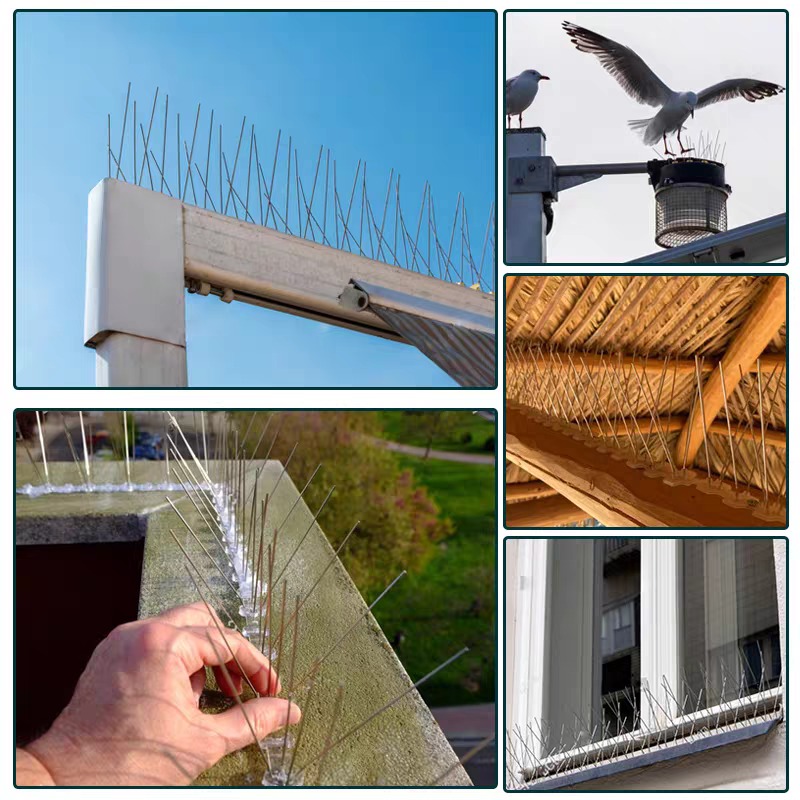 10/1x Dissuasori a punta in ac - Smart Garden Fence recensione e prezzo