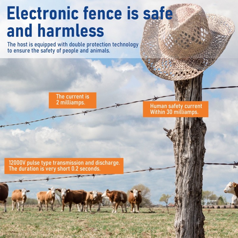 Kit Recinzione Elettrica Intel - Smart Garden Fence recensione e prezzo