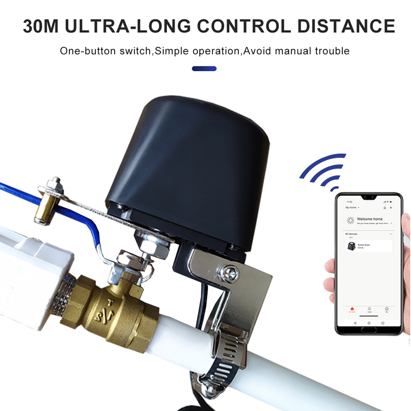 Valvola del Gas Intelligente T - Smart Garden Valve recensione e prezzo