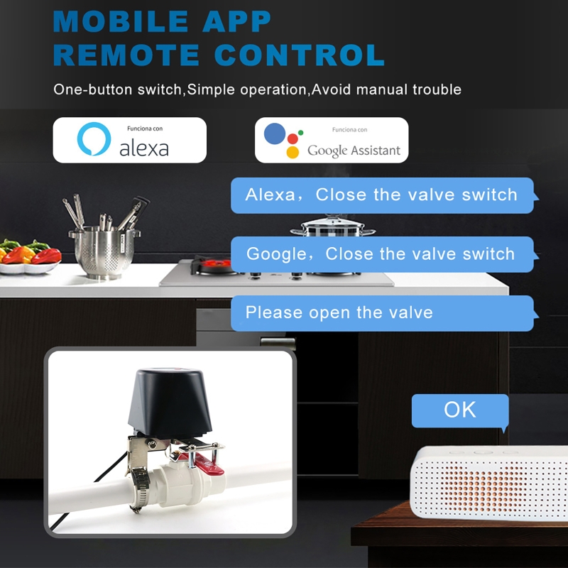 Valvola del Gas Intelligente T - Smart Garden Valve recensione e prezzo